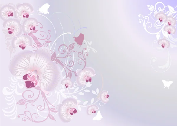 Patrón rosa claro con flores de orquídea — Vector de stock
