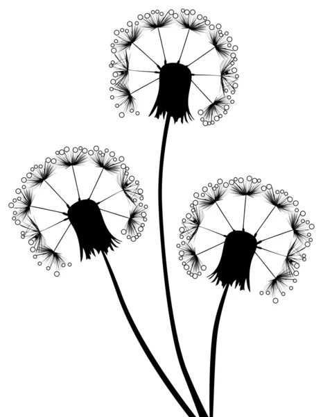 Three dandelions in drops — Stock Vector