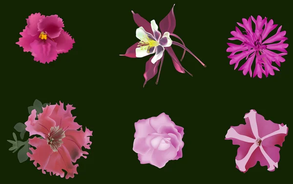 Set van zes roze bloemen op donkere groene achtergrond — Stok Vektör