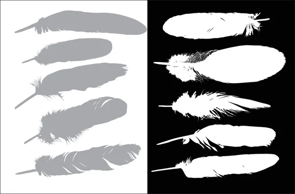 白と黒の背景に 10 羽 — ストックベクタ