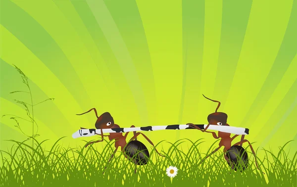 Dva mravenci s pobočkou v trávě — Stockový vektor