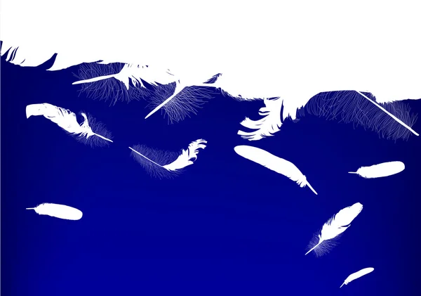 Weiße und blaue Federn Hintergrund — Stockvektor