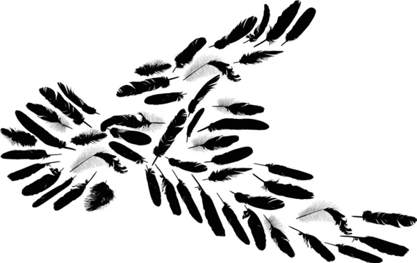 Silueta de paloma negra formada por plumas — Vector de stock