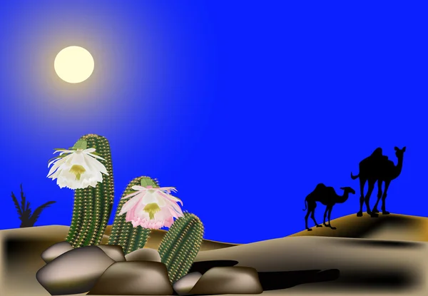 Cacto e camelos no deserto de areia —  Vetores de Stock