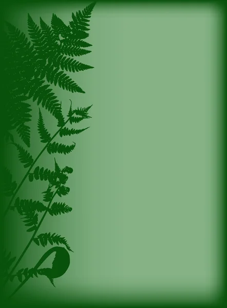 Grön bild med ormbunke — Stock vektor