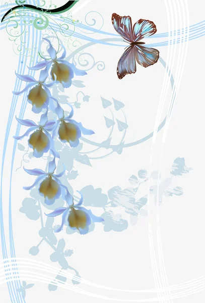 Fleurs d'orchidée bleu clair et papillon — Image vectorielle
