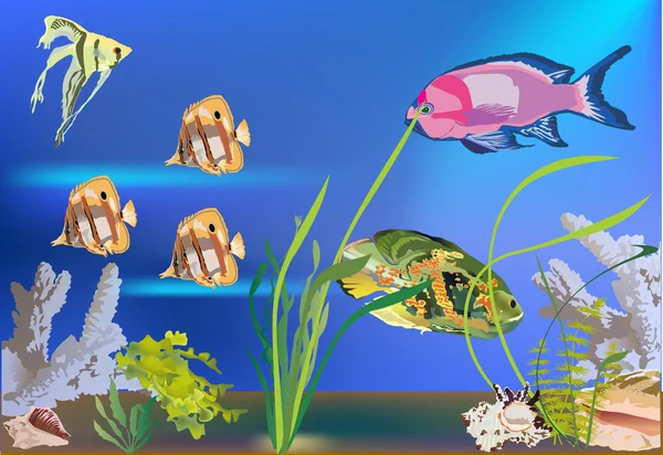 Τροπικά ψάρια στην θάλασσα απεικόνιση — Διανυσματικό Αρχείο