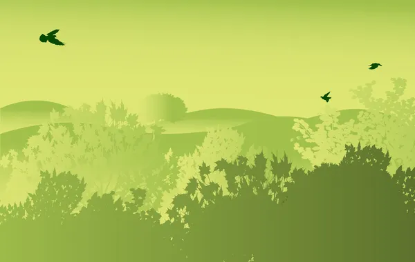Bosque verde y tres pájaros — Archivo Imágenes Vectoriales