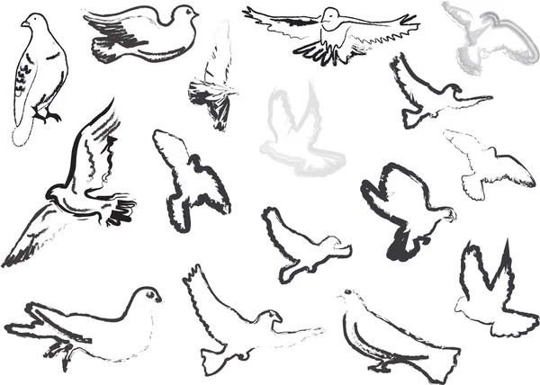 Colección de bocetos de paloma aislados en blanco — Vector de stock