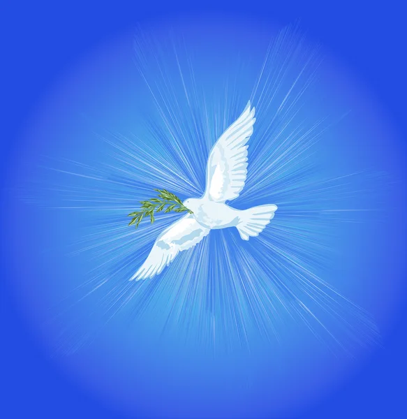 Белый голубь в голубом небе — стоковый вектор