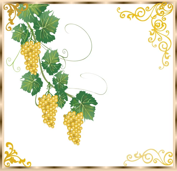 Cornice dorata e verde con uva — Vettoriale Stock