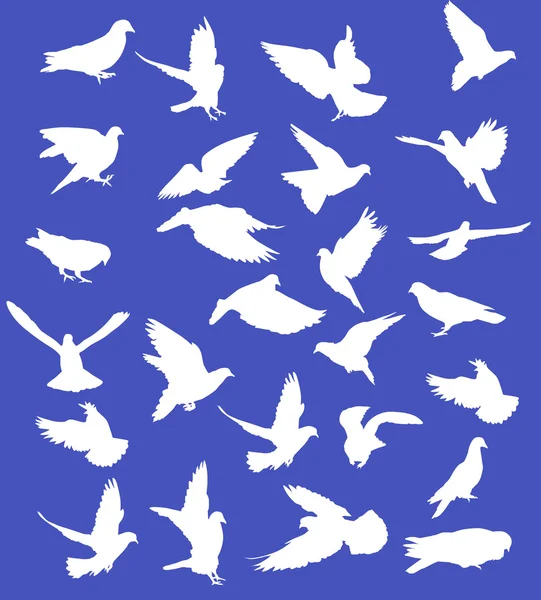 Set of white pigeons on blue — Stock Vector