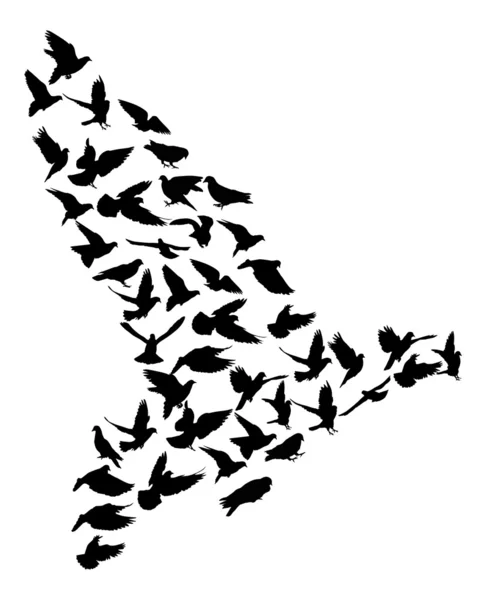 Silhouette compliquée de pigeon — Image vectorielle