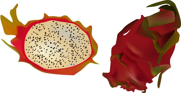 절연된 용 과일 그림 — 스톡 벡터