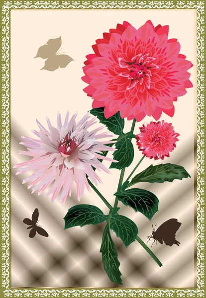 Three dahlia flowers in frame — Stock Vector
