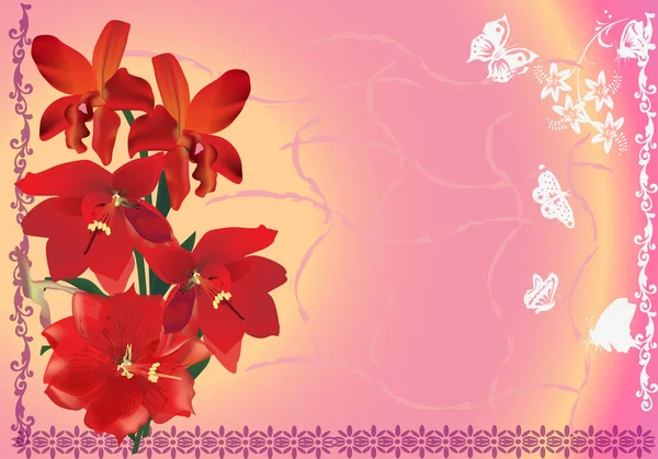 Lírio vermelho flores ilustração em rosa —  Vetores de Stock