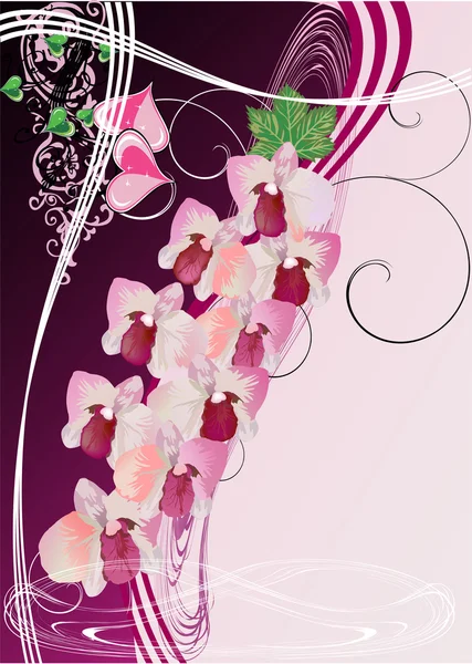 Světle růžová větev s orchidejemi — Stockový vektor