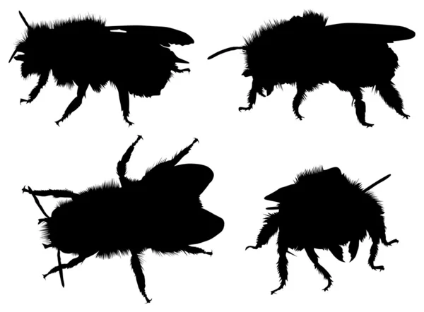 Dört arı silhouettes — Stok Vektör
