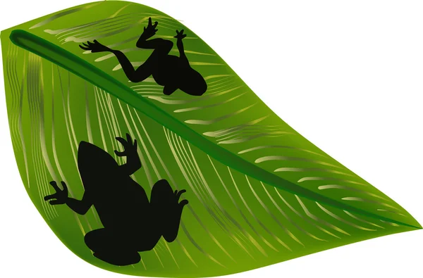 緑の葉にカエルの影 — ストックベクタ