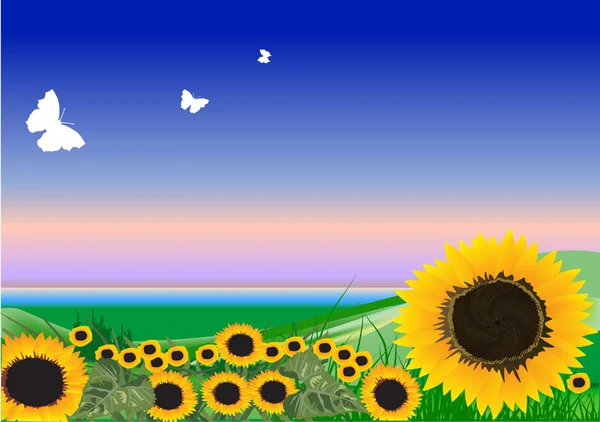 Lansekap dengan bunga matahari kuning - Stok Vektor