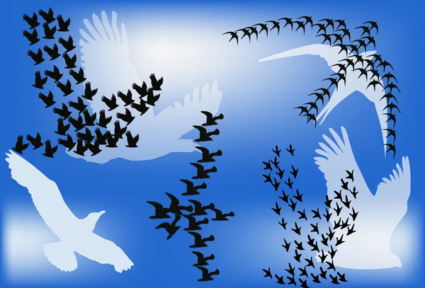 Silhuetas de pássaros no céu azul —  Vetores de Stock