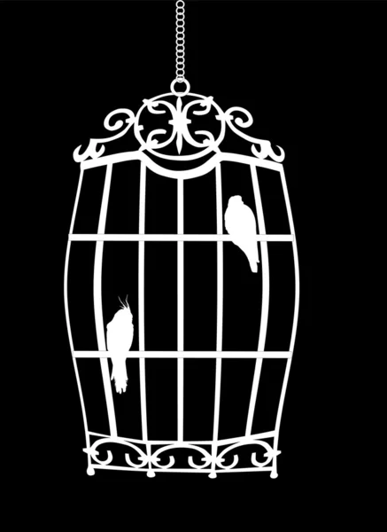 Fåglar i bur isolerat på svart — Stock vektor