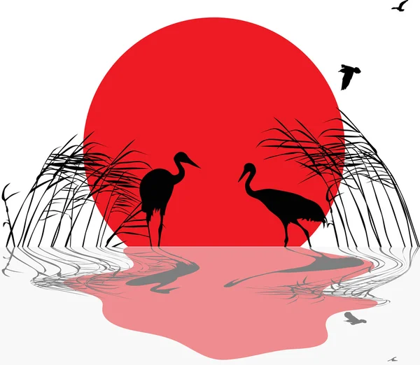 Cranes in rush at sunset with reflection — Stock Vector