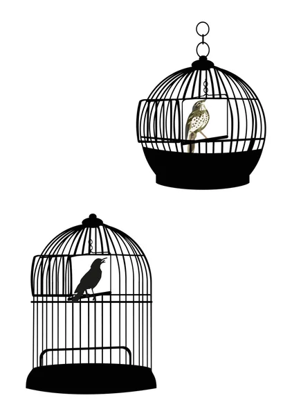 两个鸟在笼子上白色隔离 — 图库矢量图片