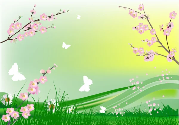 Flores de cerezo y verde paisaje de primavera — Vector de stock