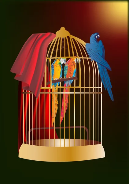 Drie papegaaien in kooi — Stockvector