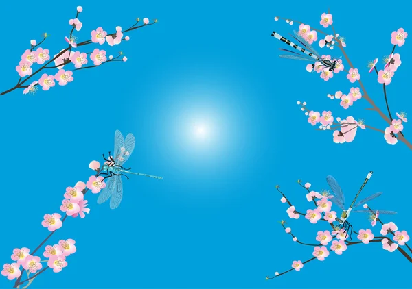 Libellen en roze kersenboom bloemen — Stockvector