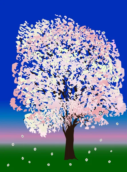 Розовый и белый цветок дерева — стоковый вектор