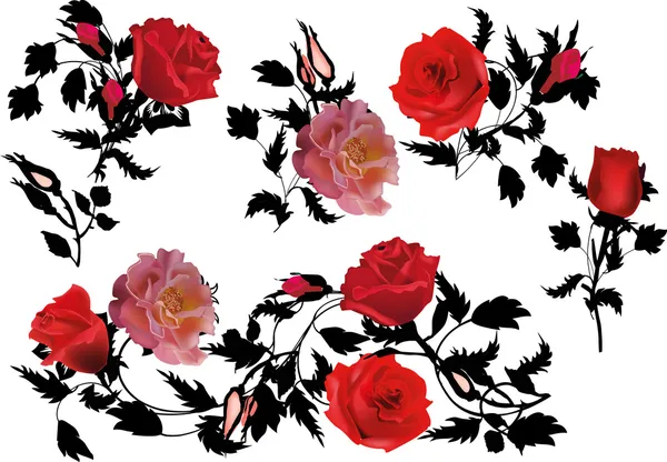 Coleção de rosas pretas e vermelhas — Vetor de Stock