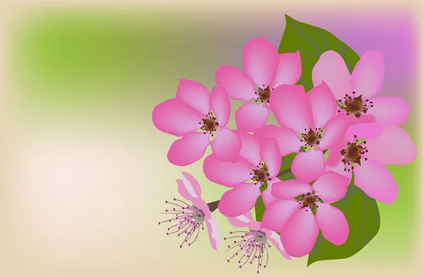 Flores de manzano rosa sobre fondo claro — Archivo Imágenes Vectoriales