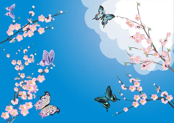 Pink cherry flowers and butterflies on blue — Stock Vector