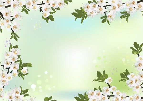 Sakura cornice floreale bianca — Vettoriale Stock