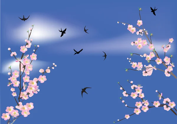 樱花鲜花和燕子在天空中 — 图库矢量图片