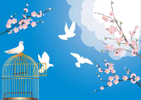 Free doves and cherry tree flowers — Stock Vector