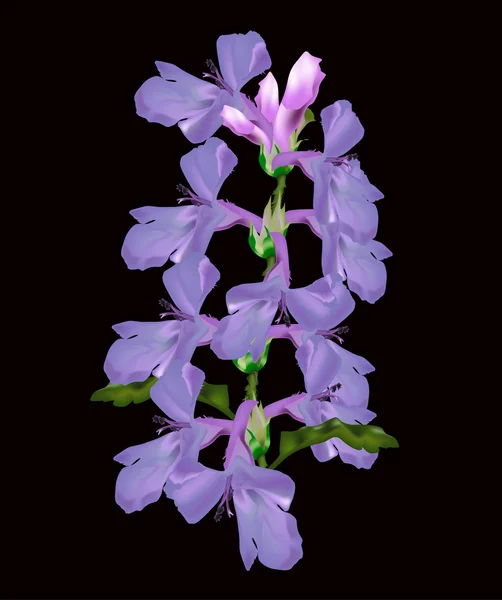 Фиолетовый цветок ветви на черный — стоковый вектор