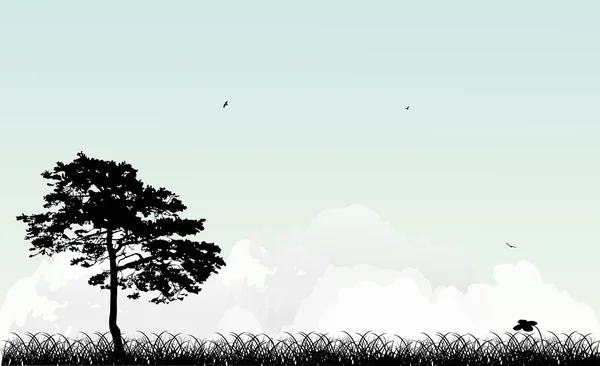 Kiefer im Gras bei blauem Himmel Hintergrund — Stockvektor