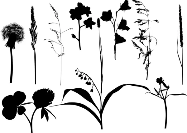 Bitkiler ve çiçekler siluetleri kümesi — Stok Vektör