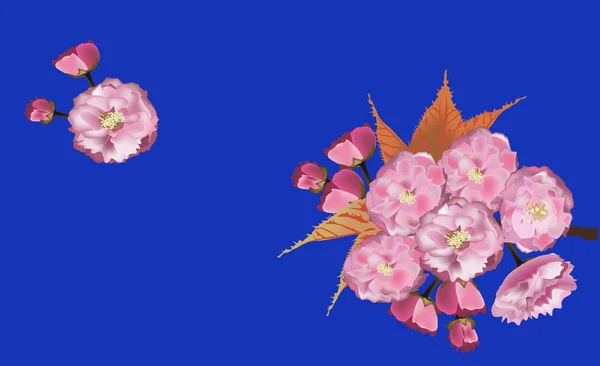 蓝色背景上的粉红色的樱桃树花 — 图库矢量图片