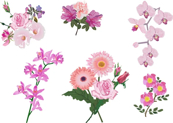 Koleksi bunga warna merah muda - Stok Vektor