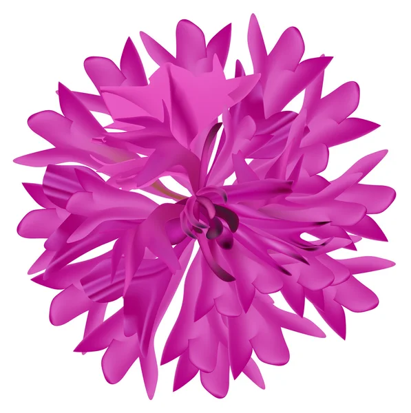 Single pink cornflower illustration — Stock Vector