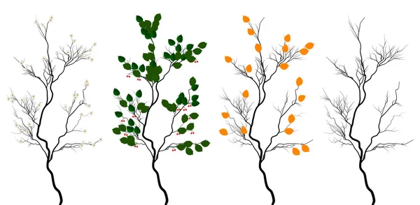 Fyra säsonger träd isolerad på vit — Stock vektor