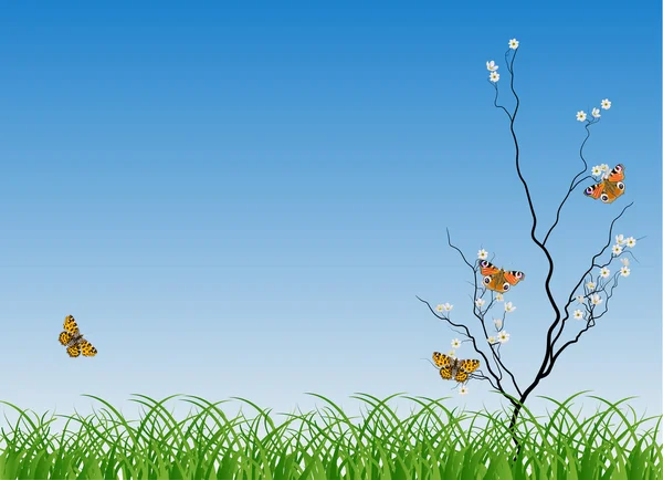 Cerisier de printemps et quatre papillons — Image vectorielle