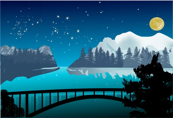 冬の風景の夜橋 — ストックベクタ