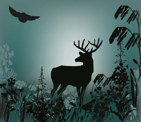 Deer in high grass illustration — Stock Vector