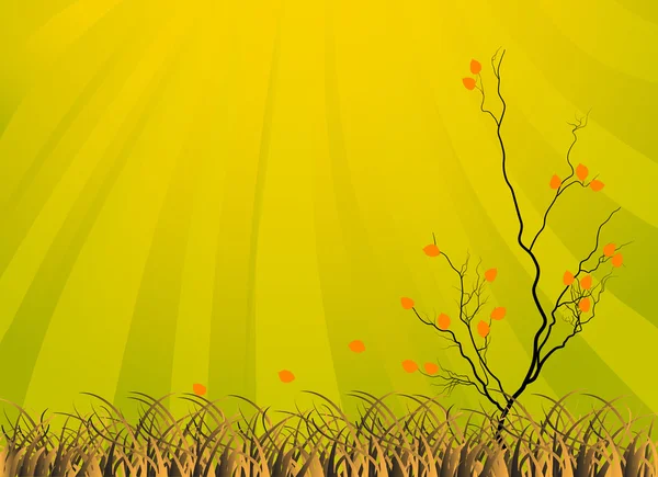 Illustration d'arbre d'automne orange — Image vectorielle