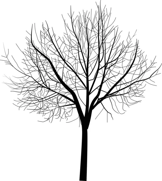 stock vector isolated bare tree illustration